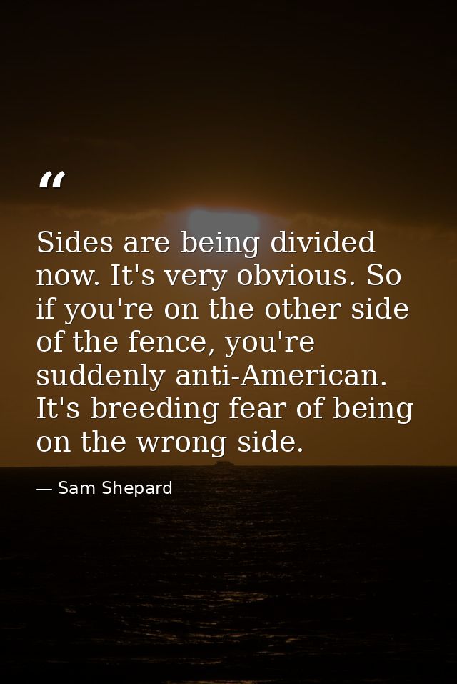 Sides are being divided now. It's very obvious. So if you're on the other side of the fence, you're suddenly anti-Americ — Sam Shepard