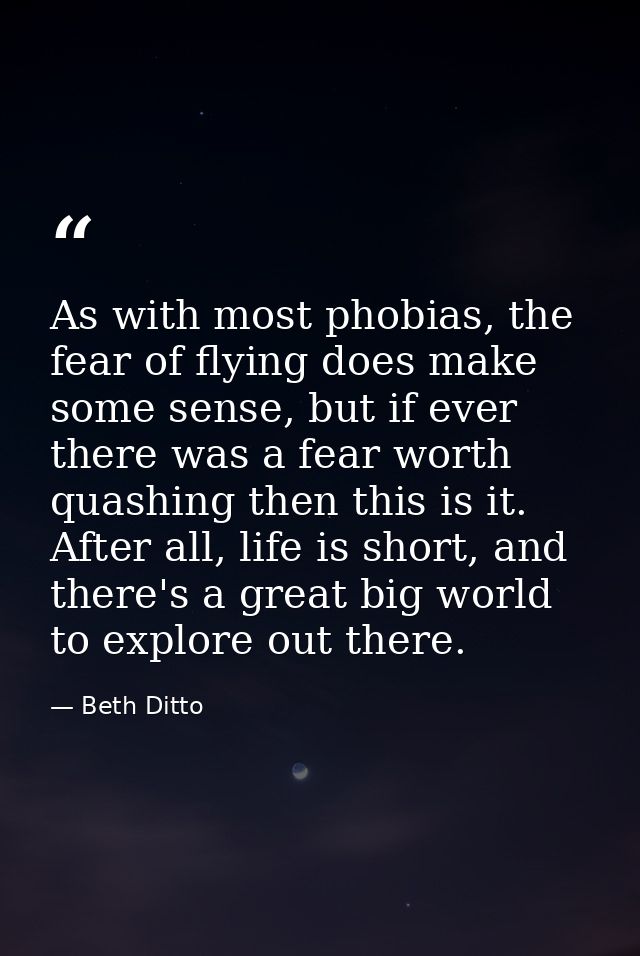 As with most phobias, the fear of flying does make some sense, but if ever there was a fear worth quashing then this is  — Beth Ditto