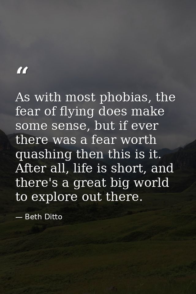 As with most phobias, the fear of flying does make some sense, but if ever there was a fear worth quashing then this is  — Beth Ditto