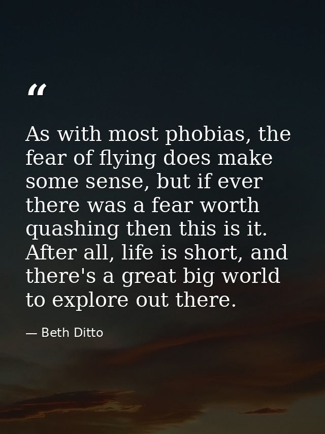 As with most phobias, the fear of flying does make some sense, but if ever there was a fear worth quashing then this is  — Beth Ditto