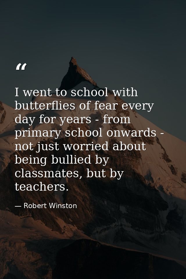 I went to school with butterflies of fear every day for years - from primary school onwards - not just worried about bei — Robert Winston
