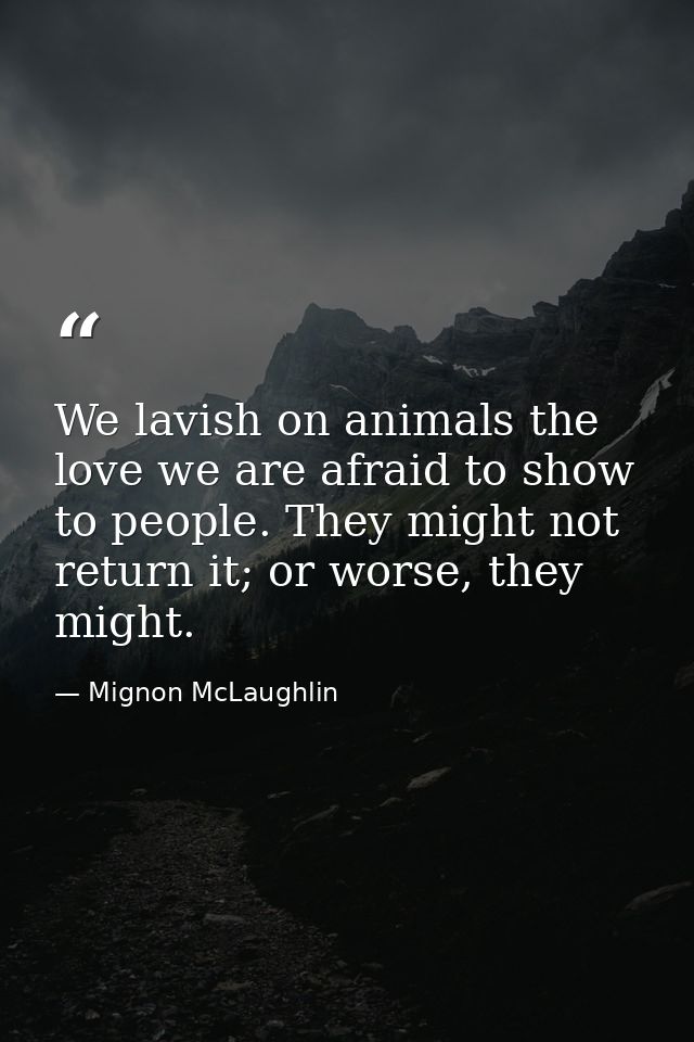 We lavish on animals the love we are afraid to show to people. They might not return it; or worse, they might. — Mignon McLaughlin
