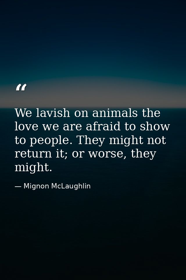 We lavish on animals the love we are afraid to show to people. They might not return it; or worse, they might. — Mignon McLaughlin