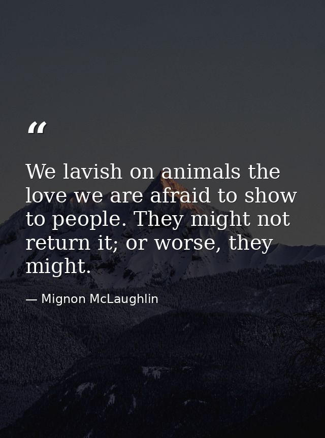 We lavish on animals the love we are afraid to show to people. They might not return it; or worse, they might. — Mignon McLaughlin