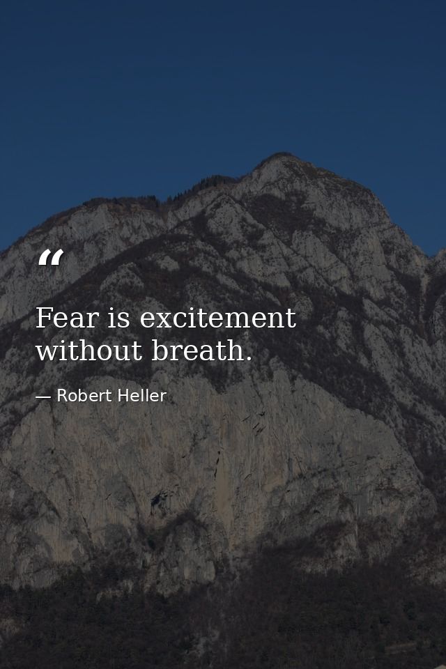 Fear is excitement without breath. — Robert Heller