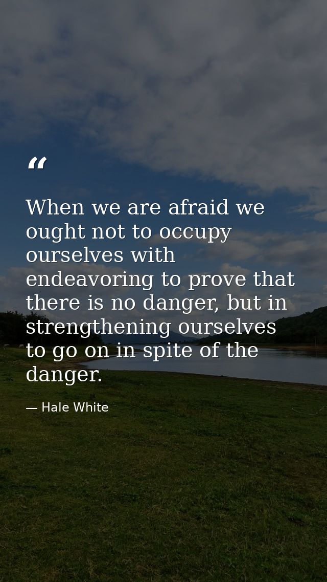 When we are afraid we ought not to occupy ourselves with endeavoring to prove that there is no danger, but in strengthen — Hale White