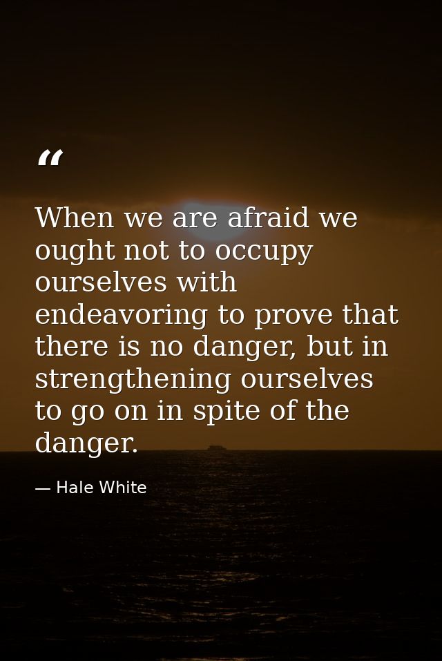 When we are afraid we ought not to occupy ourselves with endeavoring to prove that there is no danger, but in strengthen — Hale White
