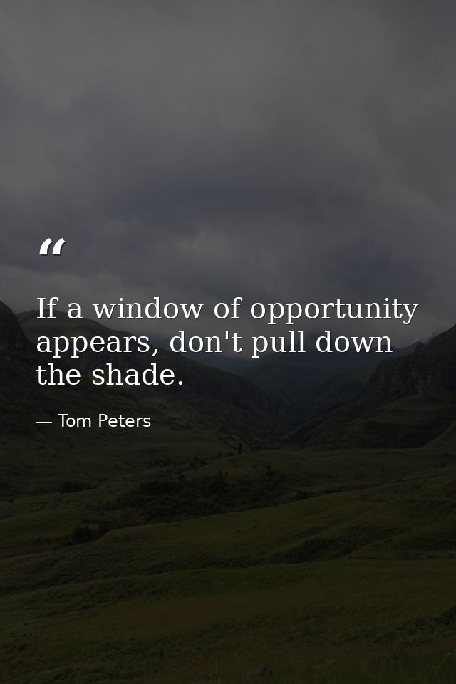 If a window of opportunity appears, don't pull down the shade. — Tom Peters