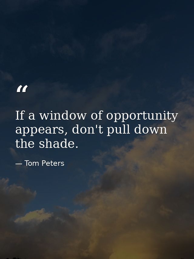 If a window of opportunity appears, don't pull down the shade. — Tom Peters