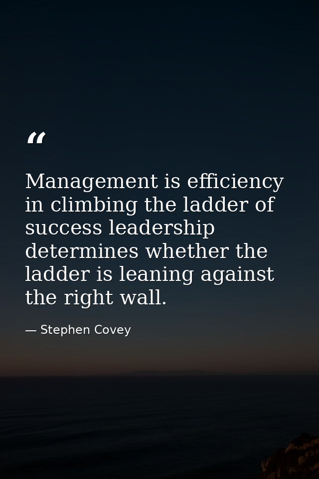 Management is efficiency in climbing the ladder of success leadership determines whether the ladder is leaning against t — Stephen Covey