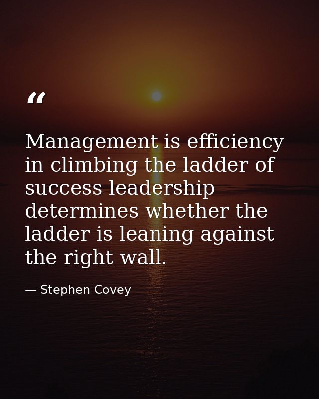 Management is efficiency in climbing the ladder of success leadership determines whether the ladder is leaning against t — Stephen Covey