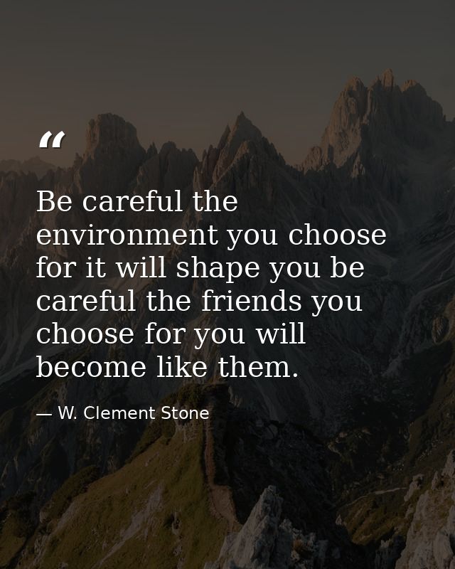Be careful the environment you choose for it will shape you be careful the friends you choose for you will become like t — W. Clement Stone