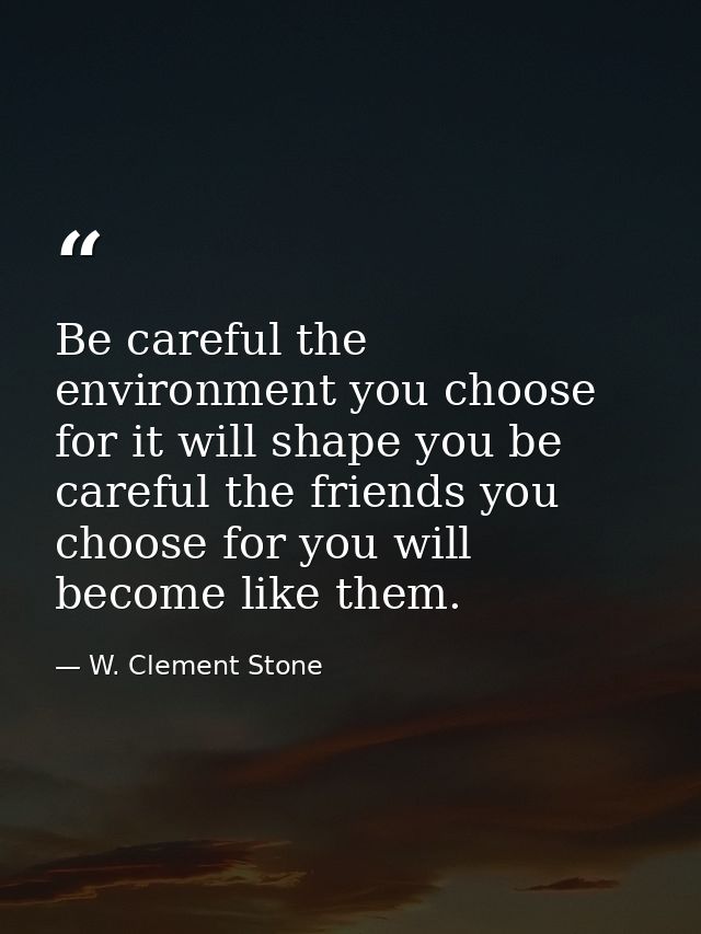 Be careful the environment you choose for it will shape you be careful the friends you choose for you will become like t — W. Clement Stone