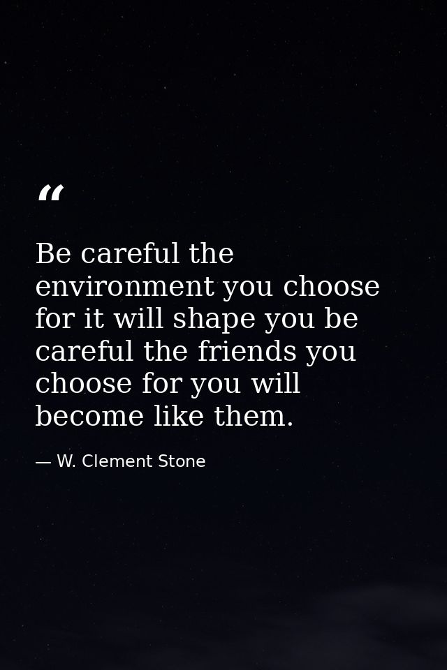 Be careful the environment you choose for it will shape you be careful the friends you choose for you will become like t — W. Clement Stone