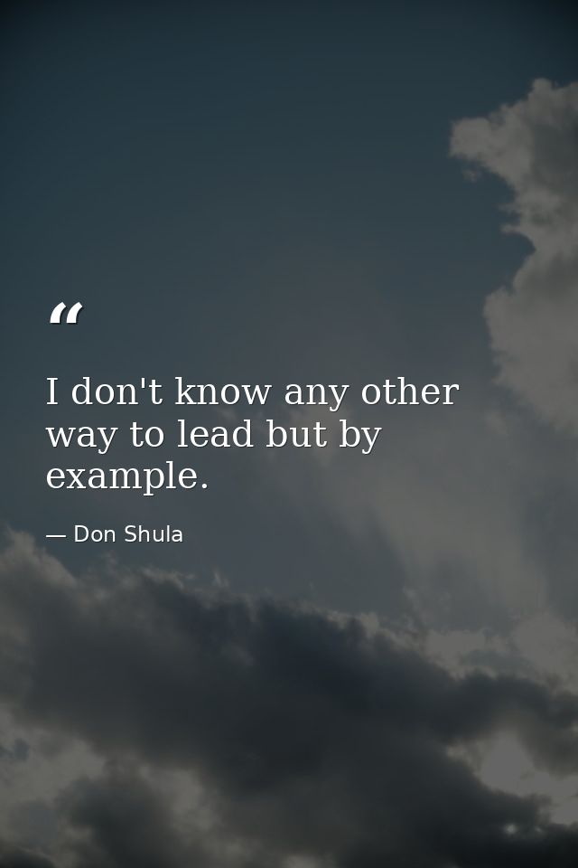 I don't know any other way to lead but by example. — Don Shula