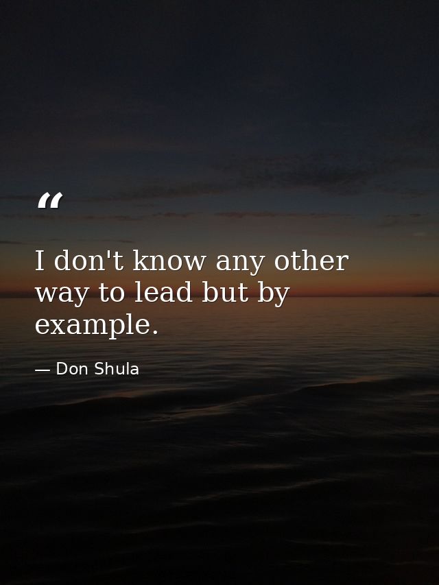 I don't know any other way to lead but by example. — Don Shula