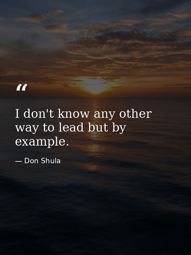 I don't know any other way to lead but by example. — Don Shula