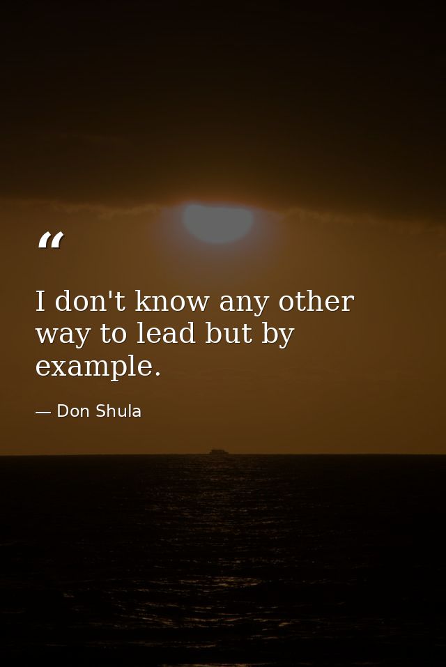I don't know any other way to lead but by example. — Don Shula