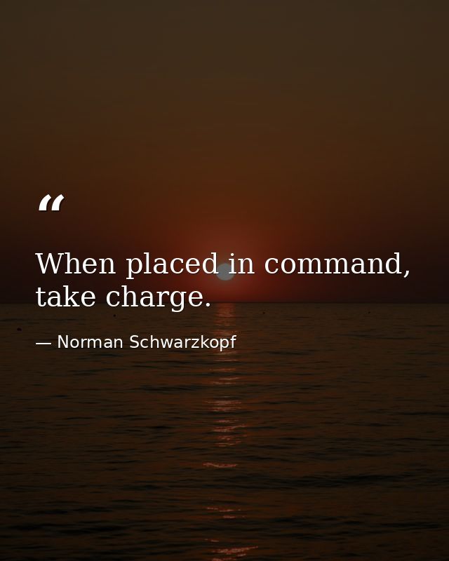 When placed in command, take charge. — Norman Schwarzkopf