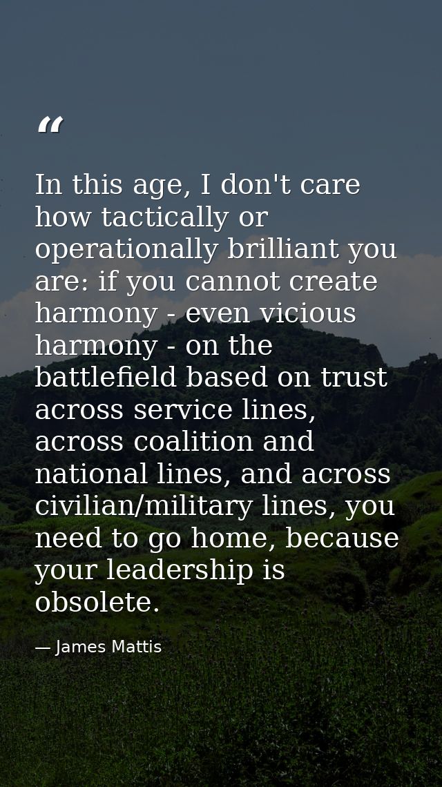 In this age, I don't care how tactically or operationally brilliant you are: if you cannot create harmony - even vicious — James Mattis