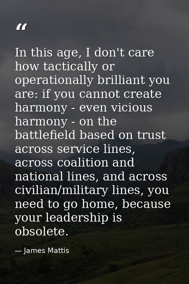 In this age, I don't care how tactically or operationally brilliant you are: if you cannot create harmony - even vicious — James Mattis