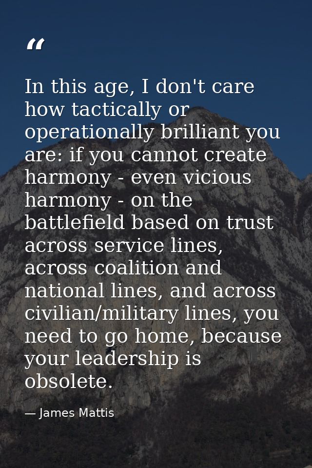 In this age, I don't care how tactically or operationally brilliant you are: if you cannot create harmony - even vicious — James Mattis