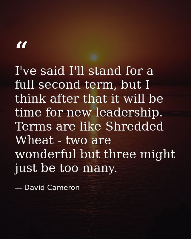 I've said I'll stand for a full second term, but I think after that it will be time for new leadership. Terms are like S — David Cameron