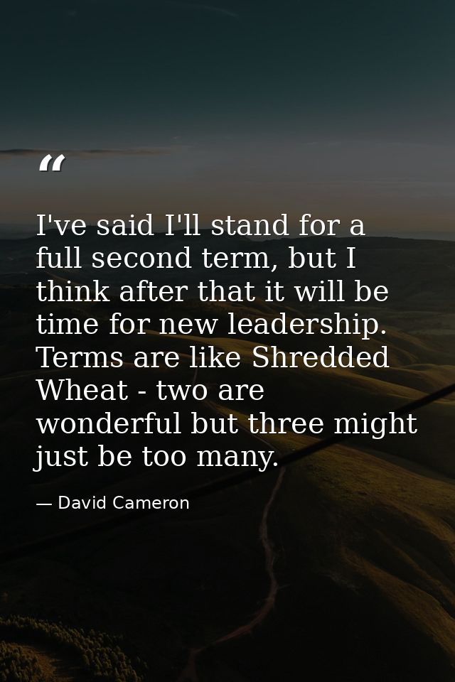 I've said I'll stand for a full second term, but I think after that it will be time for new leadership. Terms are like S — David Cameron