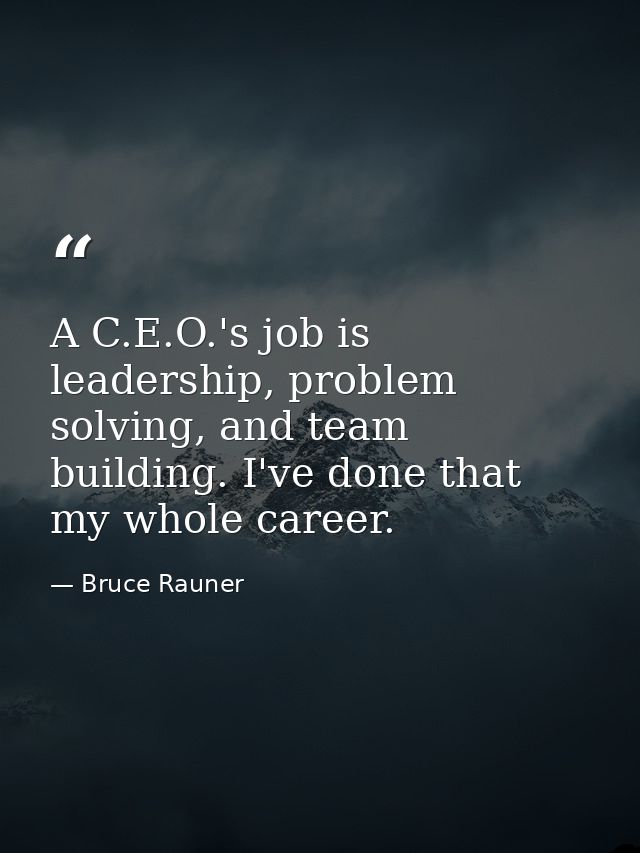 A C.E.O.'s job is leadership, problem solving, and team building. I've done that my whole career. — Bruce Rauner
