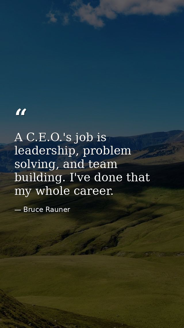 A C.E.O.'s job is leadership, problem solving, and team building. I've done that my whole career. — Bruce Rauner