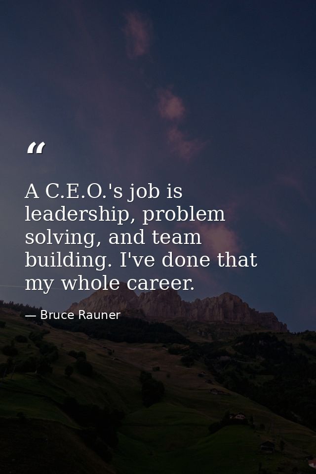 A C.E.O.'s job is leadership, problem solving, and team building. I've done that my whole career. — Bruce Rauner