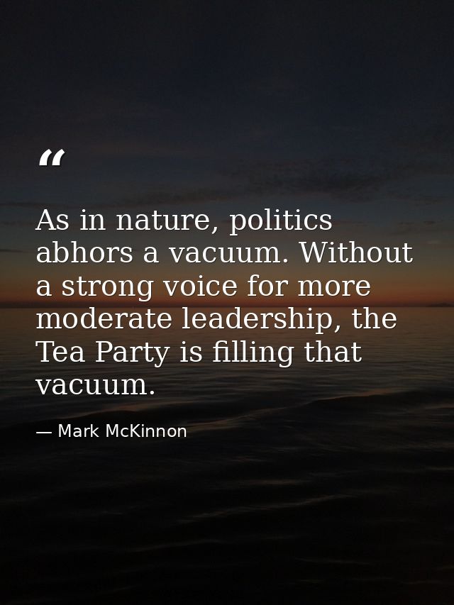 As in nature, politics abhors a vacuum. Without a strong voice for more moderate leadership, the Tea Party is filling th — Mark McKinnon