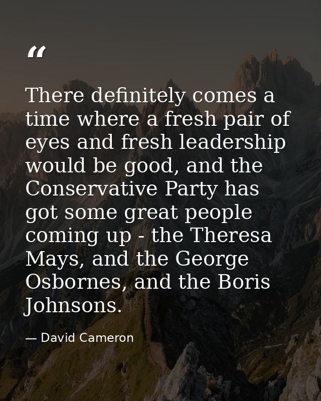 There definitely comes a time where a fresh pair of eyes and fresh leadership would be good, and the Conservative Party  — David Cameron