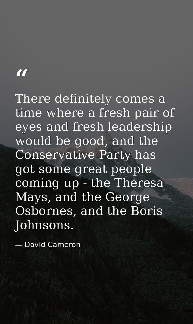 There definitely comes a time where a fresh pair of eyes and fresh leadership would be good, and the Conservative Party  — David Cameron