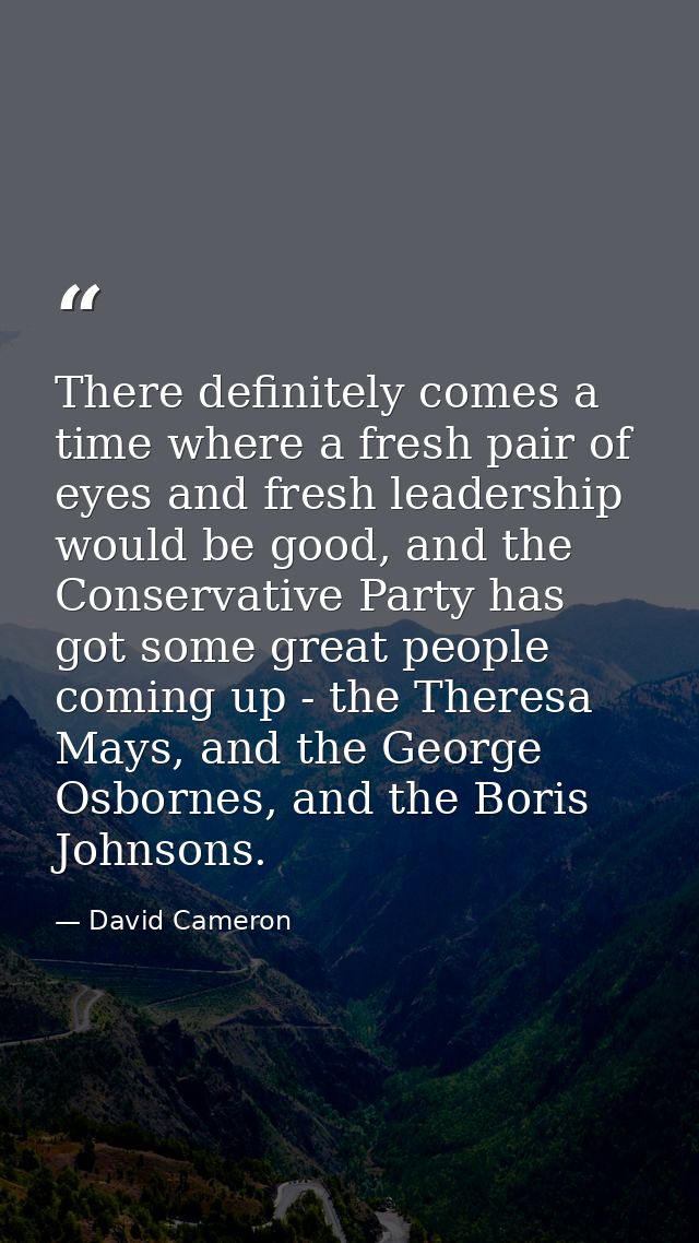 There definitely comes a time where a fresh pair of eyes and fresh leadership would be good, and the Conservative Party  — David Cameron