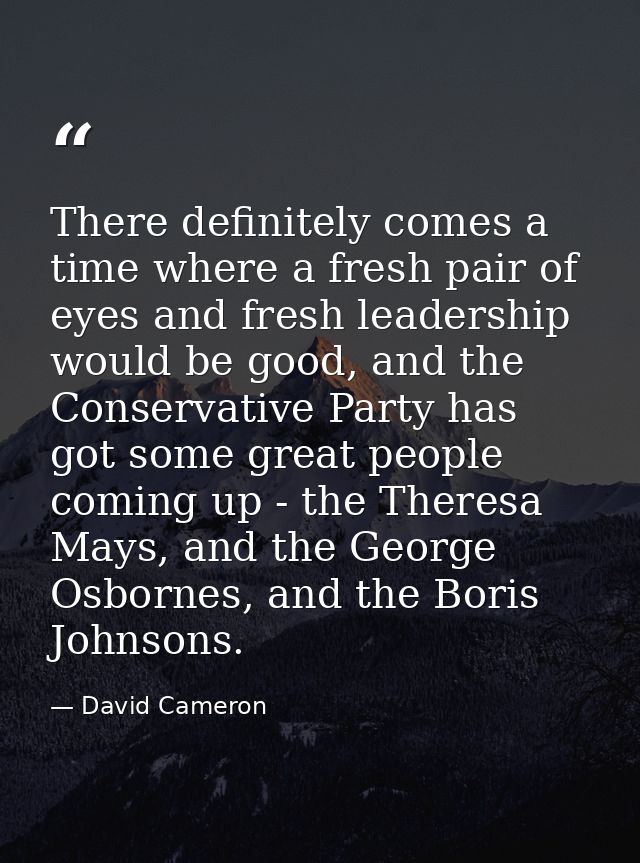 There definitely comes a time where a fresh pair of eyes and fresh leadership would be good, and the Conservative Party  — David Cameron