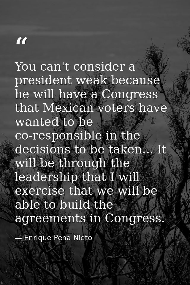 You can't consider a president weak because he will have a Congress that Mexican voters have wanted to be co-responsible — Enrique Pena Nieto
