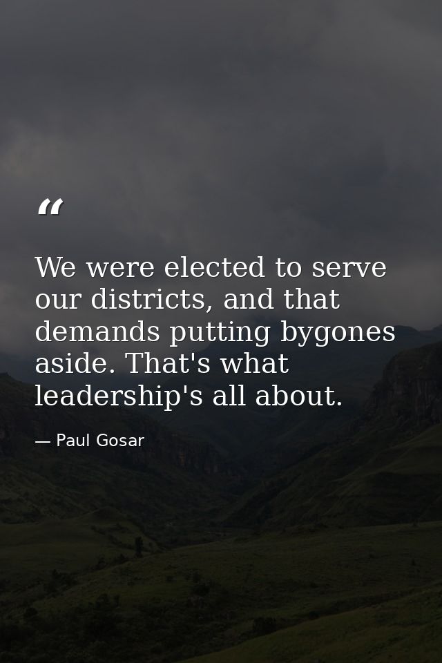 We were elected to serve our districts, and that demands putting bygones aside. That's what leadership's all about. — Paul Gosar