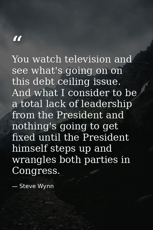 You watch television and see what's going on on this debt ceiling issue. And what I consider to be a total lack of leade — Steve Wynn