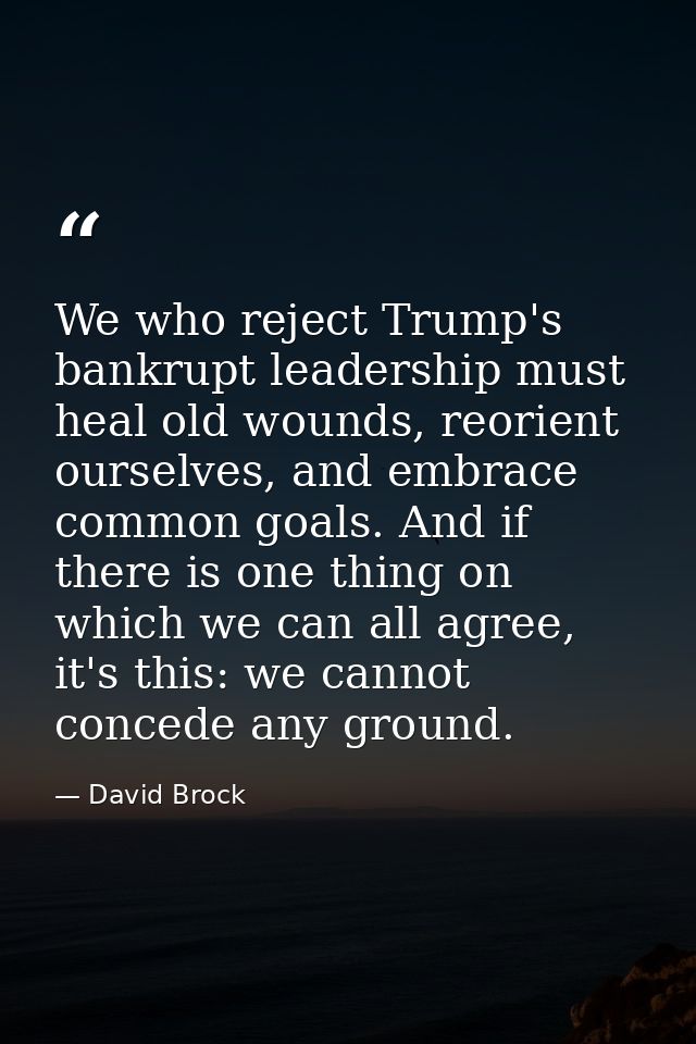 We who reject Trump's bankrupt leadership must heal old wounds, reorient ourselves, and embrace common goals. And if the — David Brock