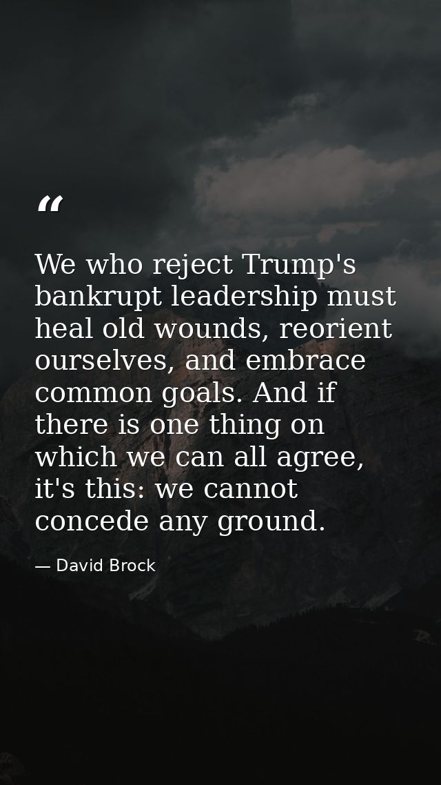 We who reject Trump's bankrupt leadership must heal old wounds, reorient ourselves, and embrace common goals. And if the — David Brock