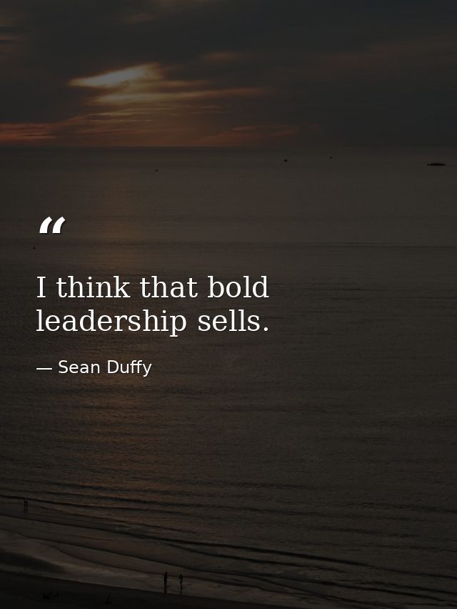 I think that bold leadership sells. — Sean Duffy