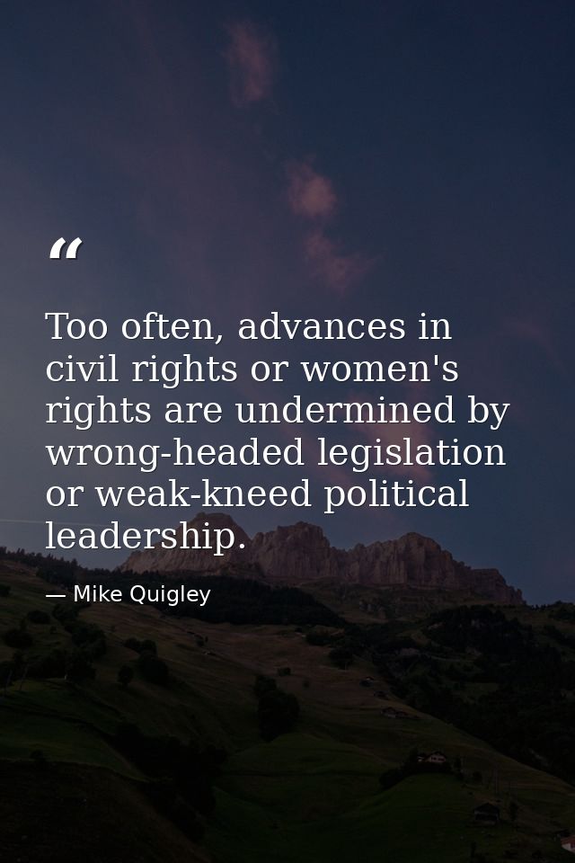 Too often, advances in civil rights or women's rights are undermined by wrong-headed legislation or weak-kneed political — Mike Quigley