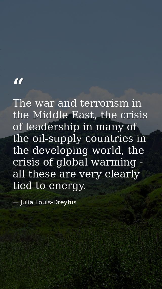 The war and terrorism in the Middle East, the crisis of leadership in many of the oil-supply countries in the developing — Julia Louis-Dreyfus