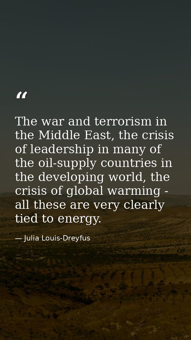 The war and terrorism in the Middle East, the crisis of leadership in many of the oil-supply countries in the developing — Julia Louis-Dreyfus