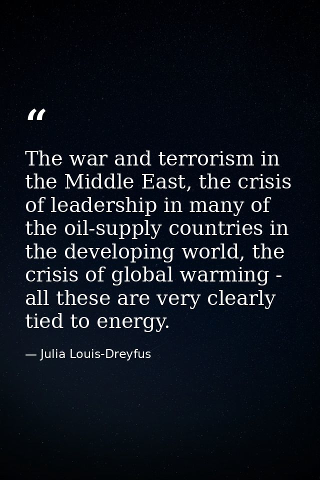 The war and terrorism in the Middle East, the crisis of leadership in many of the oil-supply countries in the developing — Julia Louis-Dreyfus