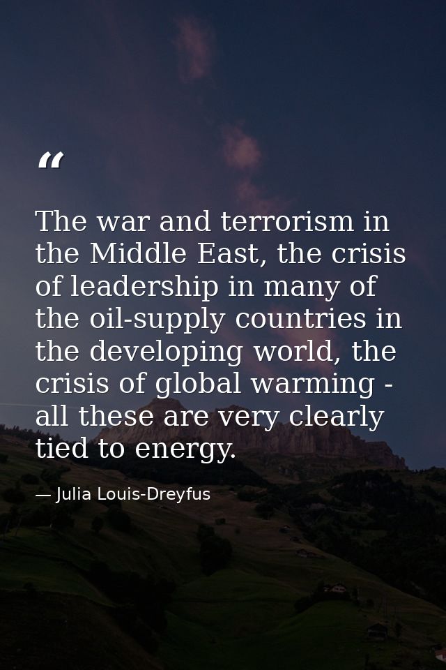 The war and terrorism in the Middle East, the crisis of leadership in many of the oil-supply countries in the developing — Julia Louis-Dreyfus