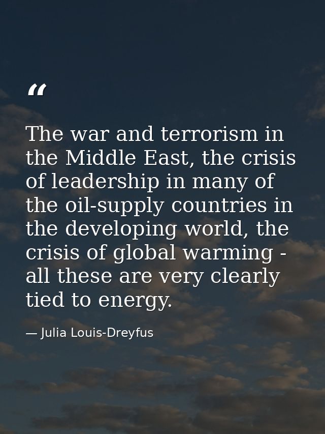 The war and terrorism in the Middle East, the crisis of leadership in many of the oil-supply countries in the developing — Julia Louis-Dreyfus