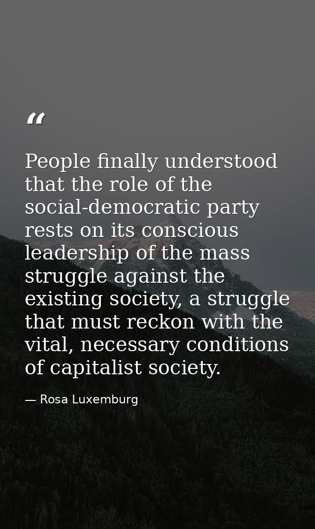 People finally understood that the role of the social-democratic party rests on its conscious leadership of the mass str — Rosa Luxemburg