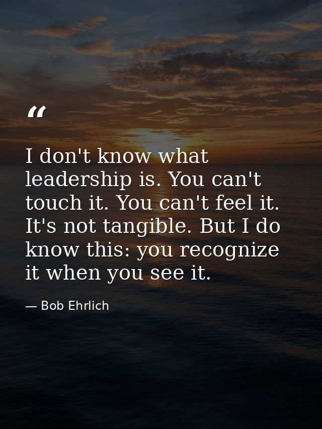 I don't know what leadership is. You can't touch it. You can't feel it. It's not tangible. But I do know this: you recog — Bob Ehrlich